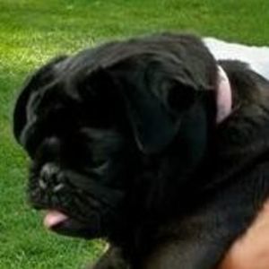 Meet your Posher, Gabriella